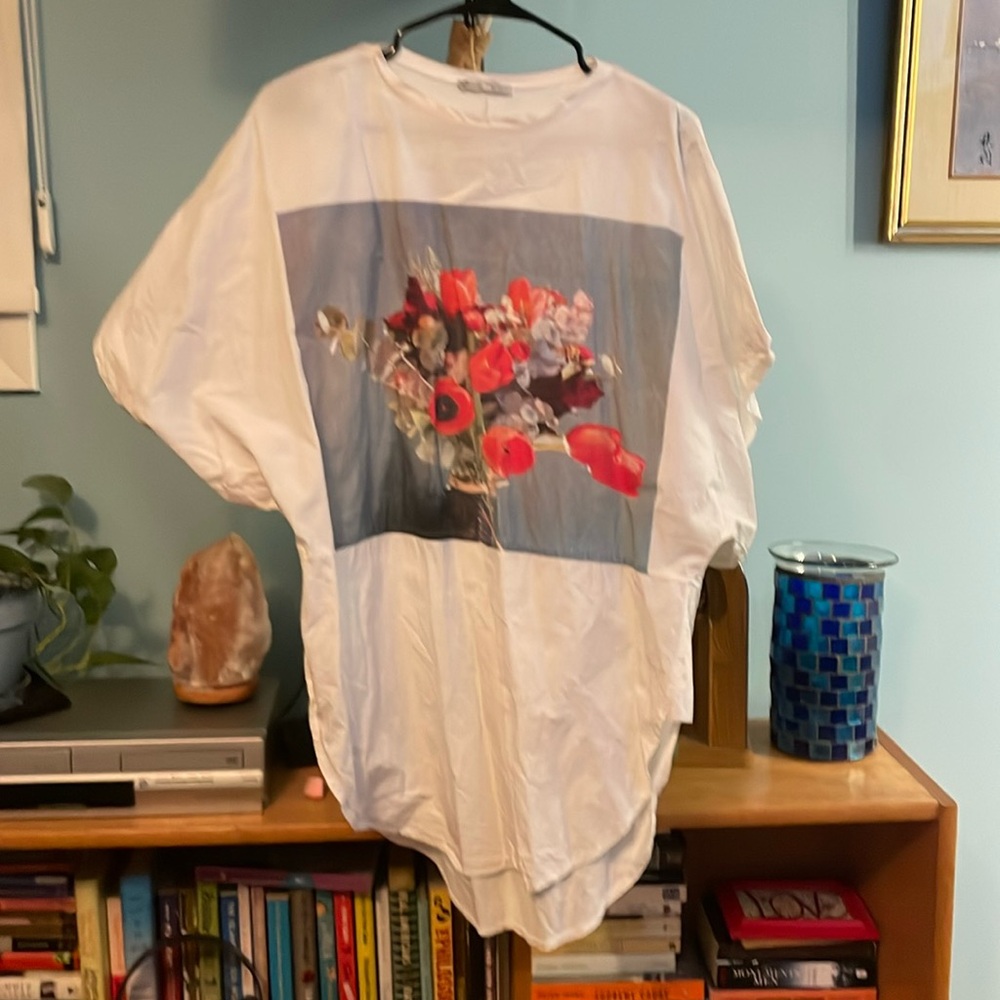 Zara artsy top